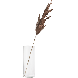 Dekoracija, Pampas 115 cm