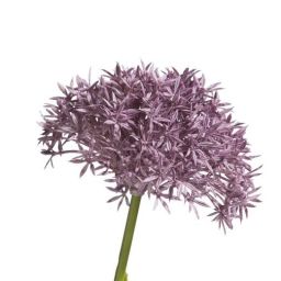 Dekoracija, Alium Spray