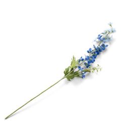 Dekoracija, Delphinium