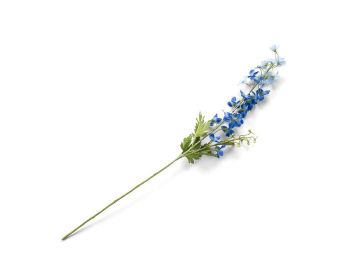 Dekoracija, Delphinium